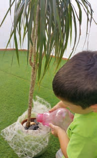 Actividad infantil sobre las plantas